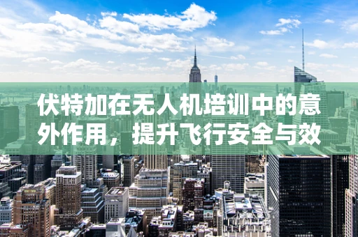 伏特加在无人机培训中的意外作用，提升飞行安全与效率的独特视角？