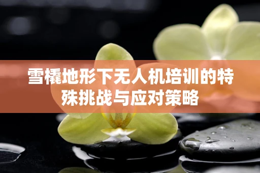 雪橇地形下无人机培训的特殊挑战与应对策略