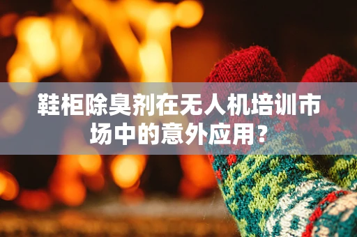 鞋柜除臭剂在无人机培训市场中的意外应用？
