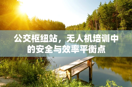 公交枢纽站，无人机培训中的安全与效率平衡点