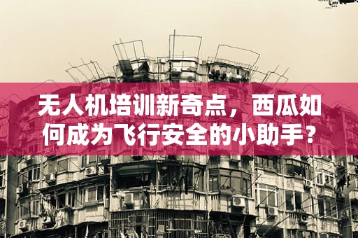 无人机培训新奇点，西瓜如何成为飞行安全的小助手？