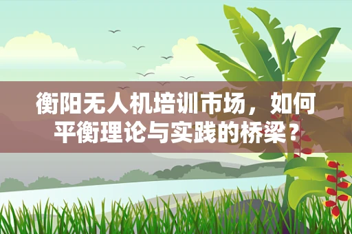 衡阳无人机培训市场，如何平衡理论与实践的桥梁？