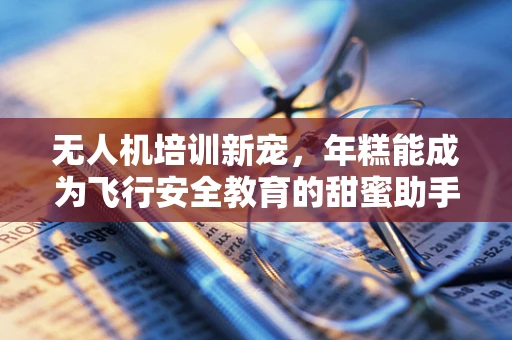 无人机培训新宠，年糕能成为飞行安全教育的甜蜜助手吗？