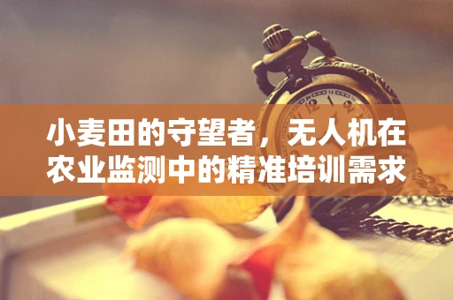小麦田的守望者，无人机在农业监测中的精准培训需求