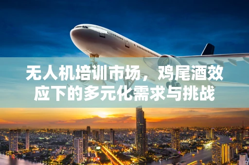 无人机培训市场，鸡尾酒效应下的多元化需求与挑战