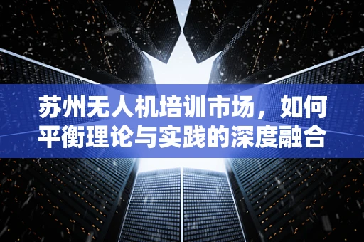 苏州无人机培训市场，如何平衡理论与实践的深度融合？
