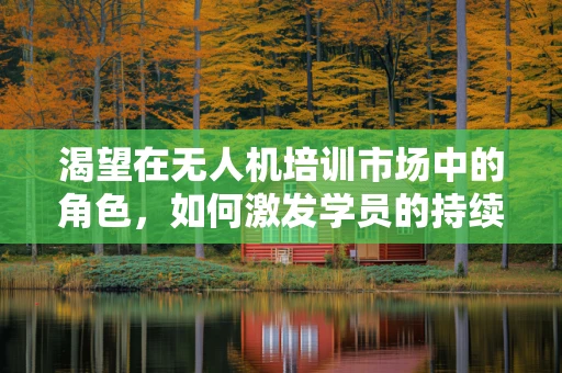 渴望在无人机培训市场中的角色，如何激发学员的持续学习动力？