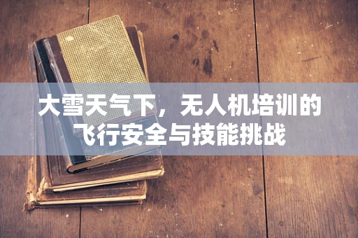 大雪天气下，无人机培训的飞行安全与技能挑战