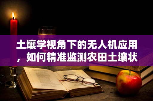 土壤学视角下的无人机应用，如何精准监测农田土壤状况？