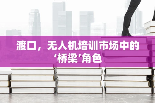 渡口，无人机培训市场中的‘桥梁’角色
