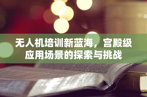 无人机培训新蓝海，宫殿级应用场景的探索与挑战