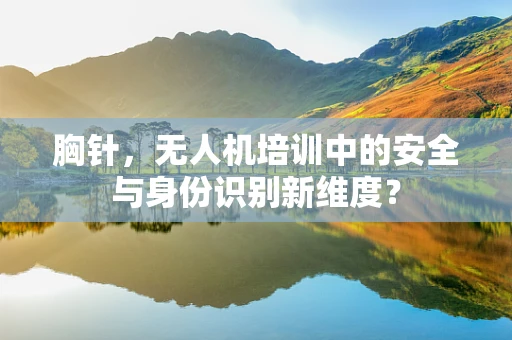 胸针，无人机培训中的安全与身份识别新维度？