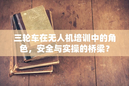 三轮车在无人机培训中的角色，安全与实操的桥梁？