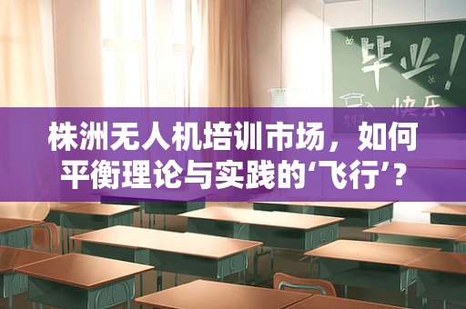 株洲无人机培训市场，如何平衡理论与实践的‘飞行’？