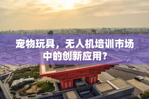 宠物玩具，无人机培训市场中的创新应用？