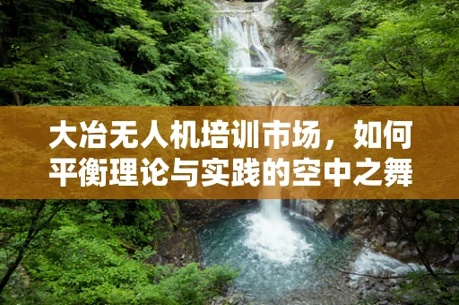 大冶无人机培训市场，如何平衡理论与实践的空中之舞？
