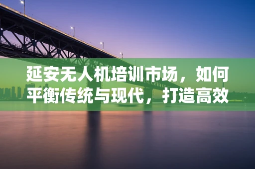 延安无人机培训市场，如何平衡传统与现代，打造高效学习平台？