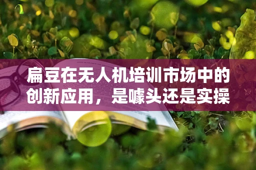 扁豆在无人机培训市场中的创新应用，是噱头还是实操？