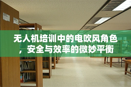 无人机培训中的电吹风角色，安全与效率的微妙平衡