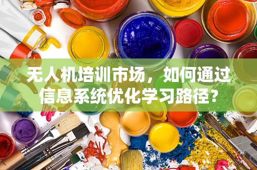 无人机培训市场，如何通过信息系统优化学习路径？
