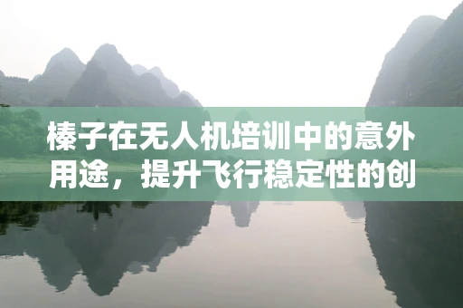榛子在无人机培训中的意外用途，提升飞行稳定性的创新策略？