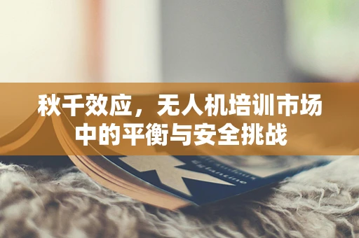秋千效应，无人机培训市场中的平衡与安全挑战