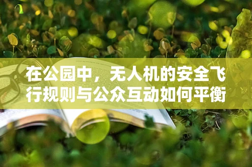 在公园中，无人机的安全飞行规则与公众互动如何平衡？
