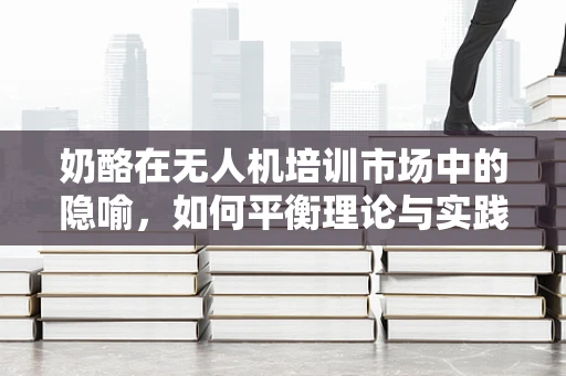 奶酪在无人机培训市场中的隐喻，如何平衡理论与实践的营养