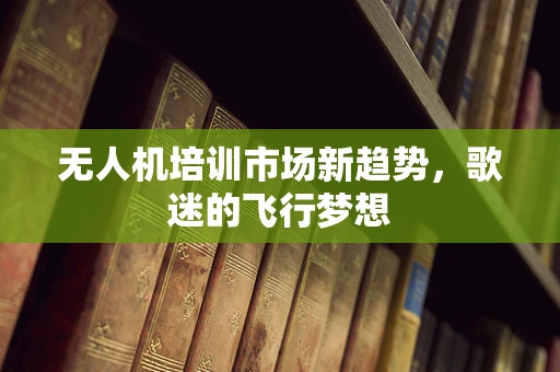 无人机培训市场新趋势，歌迷的飞行梦想