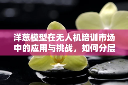 洋葱模型在无人机培训市场中的应用与挑战，如何分层解析学员需求？