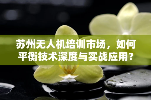 苏州无人机培训市场，如何平衡技术深度与实战应用？