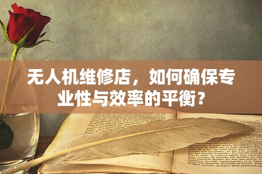 无人机维修店，如何确保专业性与效率的平衡？