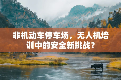 非机动车停车场，无人机培训中的安全新挑战？