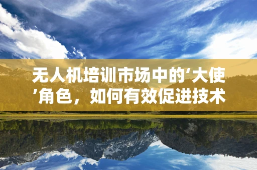 无人机培训市场中的‘大使’角色，如何有效促进技术传播与学习？