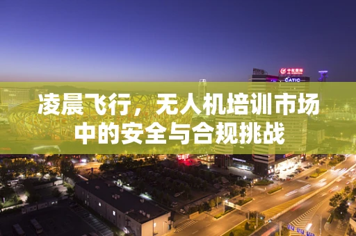 凌晨飞行，无人机培训市场中的安全与合规挑战