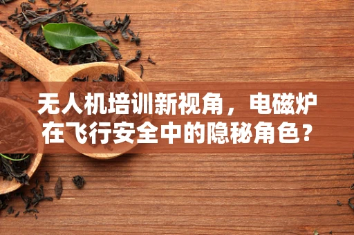 无人机培训新视角，电磁炉在飞行安全中的隐秘角色？