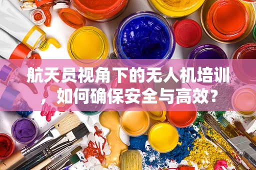 航天员视角下的无人机培训，如何确保安全与高效？