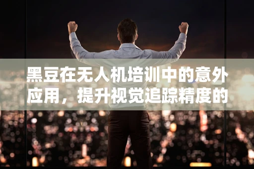 黑豆在无人机培训中的意外应用，提升视觉追踪精度的创新实践