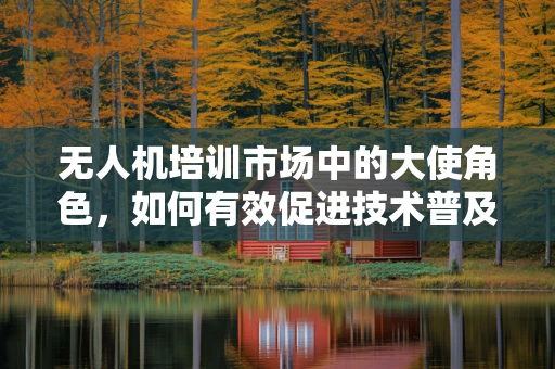 无人机培训市场中的大使角色，如何有效促进技术普及与安全教育？