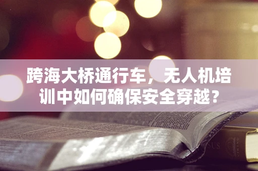 跨海大桥通行车，无人机培训中如何确保安全穿越？