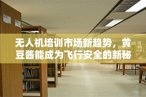 无人机培训市场新趋势，黄豆酱能成为飞行安全的新秘籍吗？