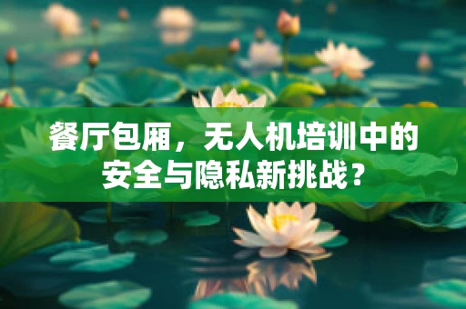 餐厅包厢，无人机培训中的安全与隐私新挑战？