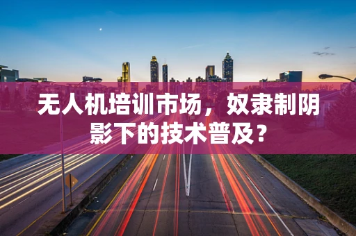 无人机培训市场，奴隶制阴影下的技术普及？