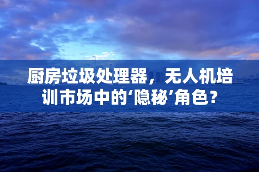 厨房垃圾处理器，无人机培训市场中的‘隐秘’角色？