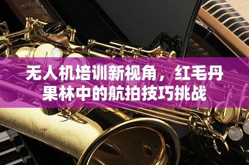 无人机培训新视角，红毛丹果林中的航拍技巧挑战