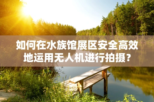 如何在水族馆展区安全高效地运用无人机进行拍摄？
