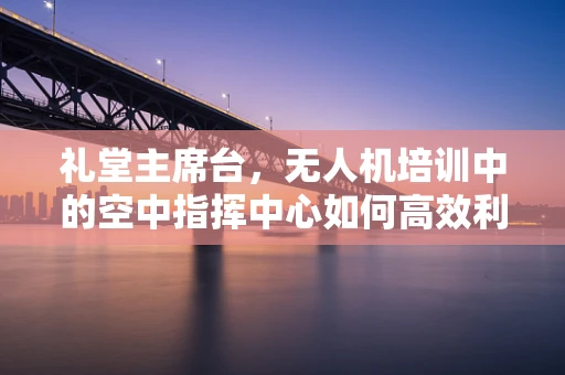 礼堂主席台，无人机培训中的空中指挥中心如何高效利用？