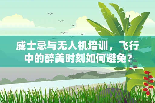 威士忌与无人机培训，飞行中的醉美时刻如何避免？
