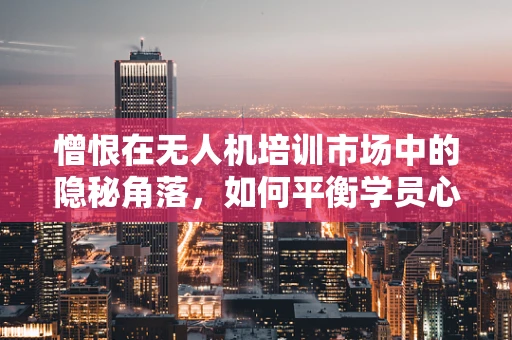 憎恨在无人机培训市场中的隐秘角落，如何平衡学员心理与技能提升？