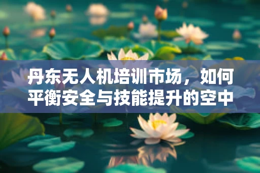 丹东无人机培训市场，如何平衡安全与技能提升的空中舞蹈？